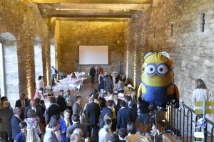 minion